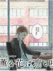 城市慢直播 h在线观看综艺海报
